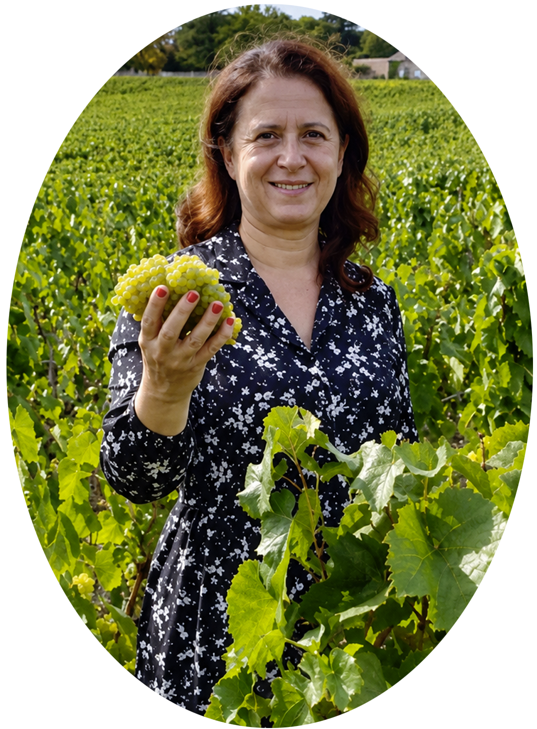 Illustration Christelle Bosser